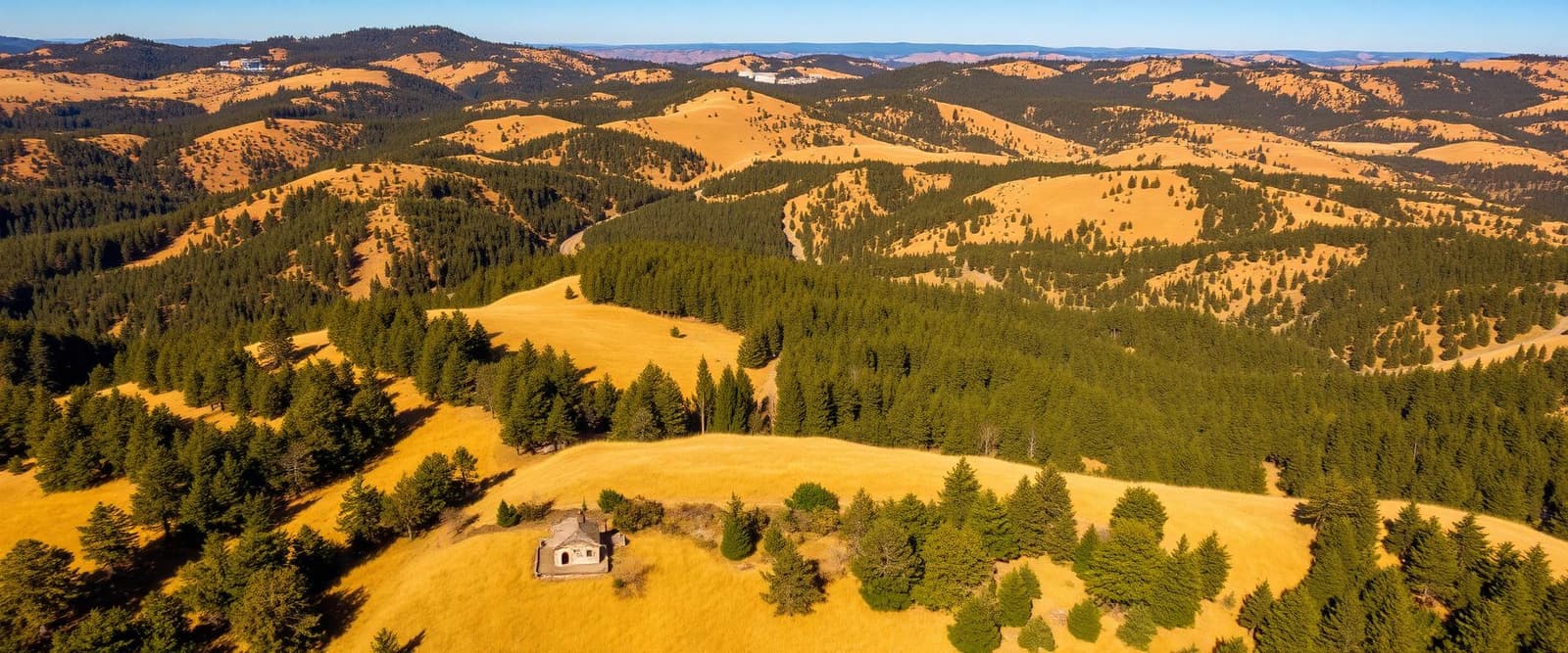 Bailey Rudge About Bailey Ridge Forestry | Local Land Management Experts ...