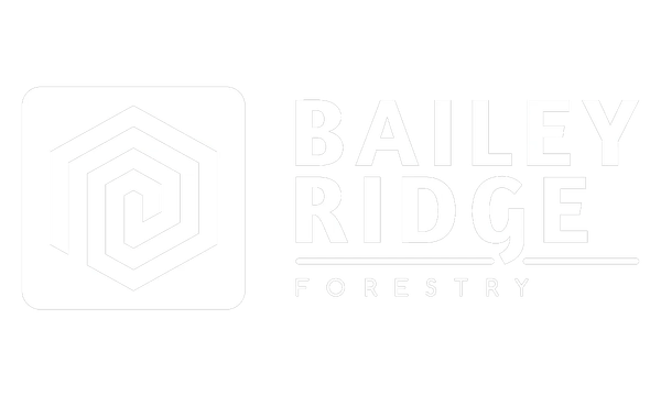 Bailey Rudge Defensible Space & Land Clearing | Bailey Ridge Forestry